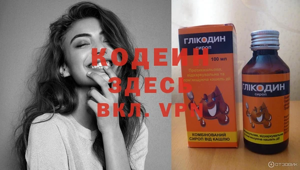 крисы Абаза