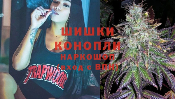 крисы Абаза