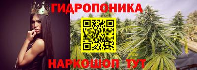 a pvp Сланцы