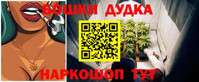 спиды Славгород