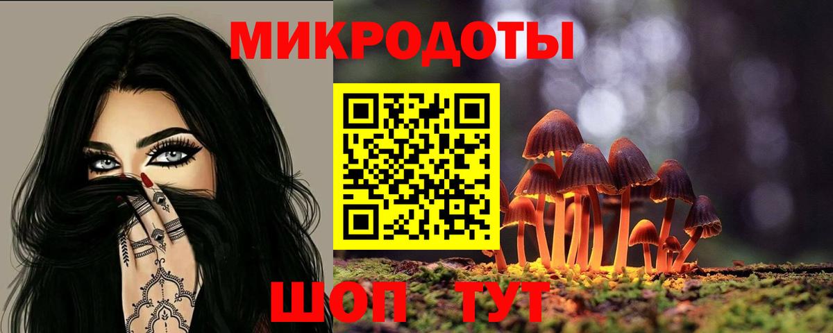 Рассказово  Псилоцибиновые грибы GOLDEN TEACHER  цена наркотик  Вход с VPN 