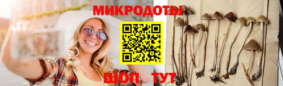 Галлюциногенные грибы Psilocybine cubensis Рассказово